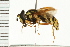  ( - LP00109)  @11 [ ] CreativeCommons - Attribution (2009) Unspecified Centre for Biodiversity Genomics