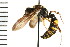  ( - LP00113)  @13 [ ] CreativeCommons - Attribution (2009) Unspecified Centre for Biodiversity Genomics