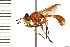  ( - LP00122)  @11 [ ] CreativeCommons - Attribution (2009) Unspecified Centre for Biodiversity Genomics