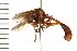  ( - LP00124)  @13 [ ] CreativeCommons - Attribution (2009) Unspecified Centre for Biodiversity Genomics