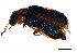  ( - 08BBCOL-0719)  @13 [ ] CreativeCommons - Attribution (2009) Unspecified Centre for Biodiversity Genomics