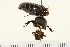  ( - COLP-0127)  @12 [ ] CreativeCommons - Attribution (2009) Unspecified Centre for Biodiversity Genomics