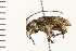  ( - 08SOCOL-0073)  @12 [ ] CreativeCommons - Attribution (2008) Unspecified Centre for Biodiversity Genomics