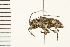  ( - 08SOCOL-0084)  @13 [ ] CreativeCommons - Attribution (2008) Unspecified Centre for Biodiversity Genomics