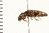  ( - 08SOCOL-0094)  @13 [ ] CreativeCommons - Attribution (2008) Unspecified Centre for Biodiversity Genomics