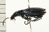  ( - 08BBCOL-0102)  @12 [ ] CreativeCommons - Attribution (2008) Unspecified Centre for Biodiversity Genomics