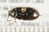  ( - 08BBCOL-0006)  @13 [ ] CreativeCommons - Attribution (2008) Unspecified Centre for Biodiversity Genomics