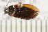  ( - 08BBCOL-0019)  @13 [ ] CreativeCommons - Attribution (2008) Unspecified Centre for Biodiversity Genomics