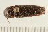  ( - 08BBCOL-0025)  @13 [ ] CreativeCommons - Attribution (2008) Unspecified Centre for Biodiversity Genomics