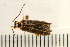  ( - 08BBCOL-0027)  @13 [ ] CreativeCommons - Attribution (2008) Unspecified Centre for Biodiversity Genomics