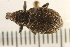  ( - 08BBCOL-0035)  @12 [ ] CreativeCommons - Attribution (2008) Unspecified Centre for Biodiversity Genomics