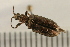  ( - 08BBCOL-0044)  @13 [ ] CreativeCommons - Attribution (2008) Unspecified Centre for Biodiversity Genomics
