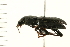 ( - 08BBCOL-0170)  @13 [ ] CreativeCommons - Attribution (2008) Unspecified Centre for Biodiversity Genomics
