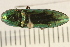  ( - 08BBCOL-0057)  @13 [ ] CreativeCommons - Attribution (2008) Unspecified Centre for Biodiversity Genomics