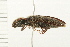  ( - 08BBCOL-0212)  @13 [ ] CreativeCommons - Attribution (2008) Unspecified Centre for Biodiversity Genomics