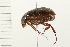  ( - 08BBCOL-0213)  @11 [ ] CreativeCommons - Attribution (2008) Unspecified Centre for Biodiversity Genomics