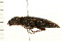  ( - 08BBCOL-0221)  @13 [ ] CreativeCommons - Attribution (2008) Unspecified Centre for Biodiversity Genomics