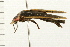  ( - 08BBCOL-0223)  @12 [ ] CreativeCommons - Attribution (2008) Unspecified Centre for Biodiversity Genomics