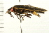  ( - 08BBCOL-0224)  @13 [ ] CreativeCommons - Attribution (2008) Unspecified Centre for Biodiversity Genomics