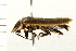  ( - 08BBCOL-0226)  @12 [ ] CreativeCommons - Attribution (2008) Unspecified Centre for Biodiversity Genomics