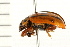  ( - 08BBCOL-0234)  @12 [ ] CreativeCommons - Attribution (2008) Unspecified Centre for Biodiversity Genomics