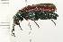  ( - 08BBCOL-0244)  @13 [ ] CreativeCommons - Attribution (2008) Unspecified Centre for Biodiversity Genomics