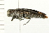  ( - 08BBCOL-0287)  @12 [ ] CreativeCommons - Attribution (2008) Unspecified Centre for Biodiversity Genomics