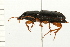  ( - 08BBCOL-0290)  @13 [ ] CreativeCommons - Attribution (2008) Unspecified Centre for Biodiversity Genomics