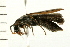  ( - 08BBCOL-0296)  @12 [ ] CreativeCommons - Attribution (2008) Unspecified Centre for Biodiversity Genomics