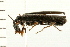  ( - 08BBCOL-0299)  @12 [ ] CreativeCommons - Attribution (2008) Unspecified Centre for Biodiversity Genomics