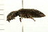  ( - 08BBCOL-0312)  @13 [ ] CreativeCommons - Attribution (2008) Unspecified Centre for Biodiversity Genomics
