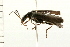  ( - 08BBCOL-0315)  @12 [ ] CreativeCommons - Attribution (2008) Unspecified Centre for Biodiversity Genomics
