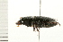  ( - 08BBCOL-0330)  @13 [ ] CreativeCommons - Attribution (2008) Unspecified Centre for Biodiversity Genomics