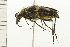  ( - 08BBCOL-0429)  @13 [ ] CreativeCommons - Attribution (2008) Unspecified Centre for Biodiversity Genomics
