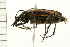  ( - 08BBCOL-0466)  @13 [ ] CreativeCommons - Attribution (2008) Unspecified Centre for Biodiversity Genomics