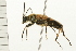  ( - 08BBCOL-0494)  @13 [ ] CreativeCommons - Attribution (2008) Unspecified Centre for Biodiversity Genomics