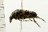  ( - 08BBCOL-0496)  @13 [ ] CreativeCommons - Attribution (2008) Unspecified Centre for Biodiversity Genomics