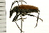  ( - 08BBCOL-0497)  @13 [ ] CreativeCommons - Attribution (2008) Unspecified Centre for Biodiversity Genomics