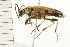 ( - 08BBCOL-0500)  @13 [ ] CreativeCommons - Attribution (2008) Unspecified Centre for Biodiversity Genomics