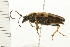  ( - 08BBCOL-0504)  @13 [ ] CreativeCommons - Attribution (2008) Unspecified Centre for Biodiversity Genomics