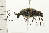  ( - 08BBCOL-0505)  @13 [ ] CreativeCommons - Attribution (2008) Unspecified Centre for Biodiversity Genomics