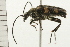  ( - 08BBCOL-0507)  @13 [ ] CreativeCommons - Attribution (2008) Unspecified Centre for Biodiversity Genomics