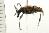  ( - 08BBCOL-0509)  @13 [ ] CreativeCommons - Attribution (2008) Unspecified Centre for Biodiversity Genomics
