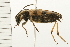  ( - 08BBCOL-0510)  @13 [ ] CreativeCommons - Attribution (2008) Unspecified Centre for Biodiversity Genomics