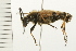  ( - 08BBCOL-0511)  @13 [ ] CreativeCommons - Attribution (2008) Unspecified Centre for Biodiversity Genomics