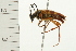  ( - 08BBCOL-0543)  @12 [ ] CreativeCommons - Attribution (2008) Unspecified Centre for Biodiversity Genomics