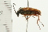  ( - 08BBCOL-0544)  @12 [ ] CreativeCommons - Attribution (2008) Unspecified Centre for Biodiversity Genomics
