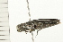  ( - 08BBCOL-0548)  @12 [ ] CreativeCommons - Attribution (2008) Unspecified Centre for Biodiversity Genomics