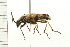  ( - 08BBCOL-0598)  @13 [ ] CreativeCommons - Attribution (2008) Unspecified Centre for Biodiversity Genomics