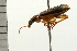  ( - 08MZPP-022)  @12 [ ] CreativeCommons - Attribution (2008) Unspecified Centre for Biodiversity Genomics